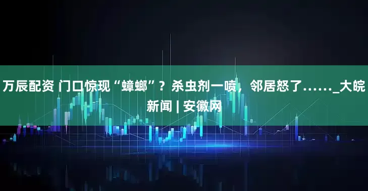 万辰配资 门口惊现“蟑螂”？杀虫剂一喷，邻居怒了……_大皖新闻 | 安徽网