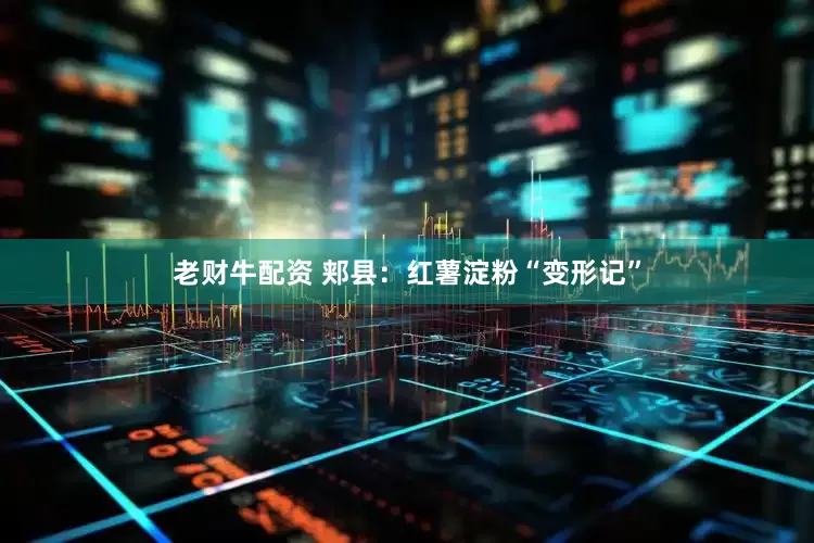 老财牛配资 郏县：红薯淀粉“变形记”